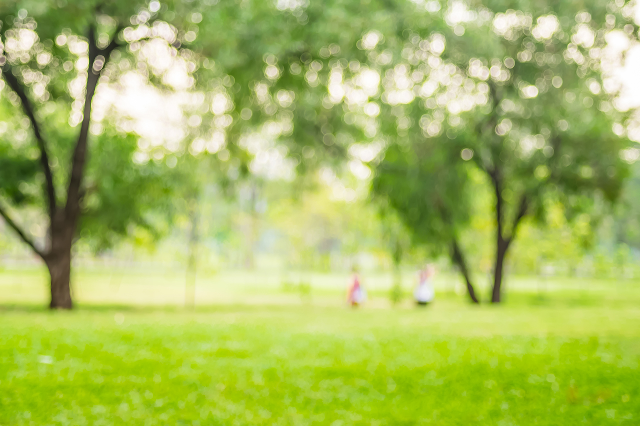 gente haciendo ejercicio en un parque verde con luz bokeh