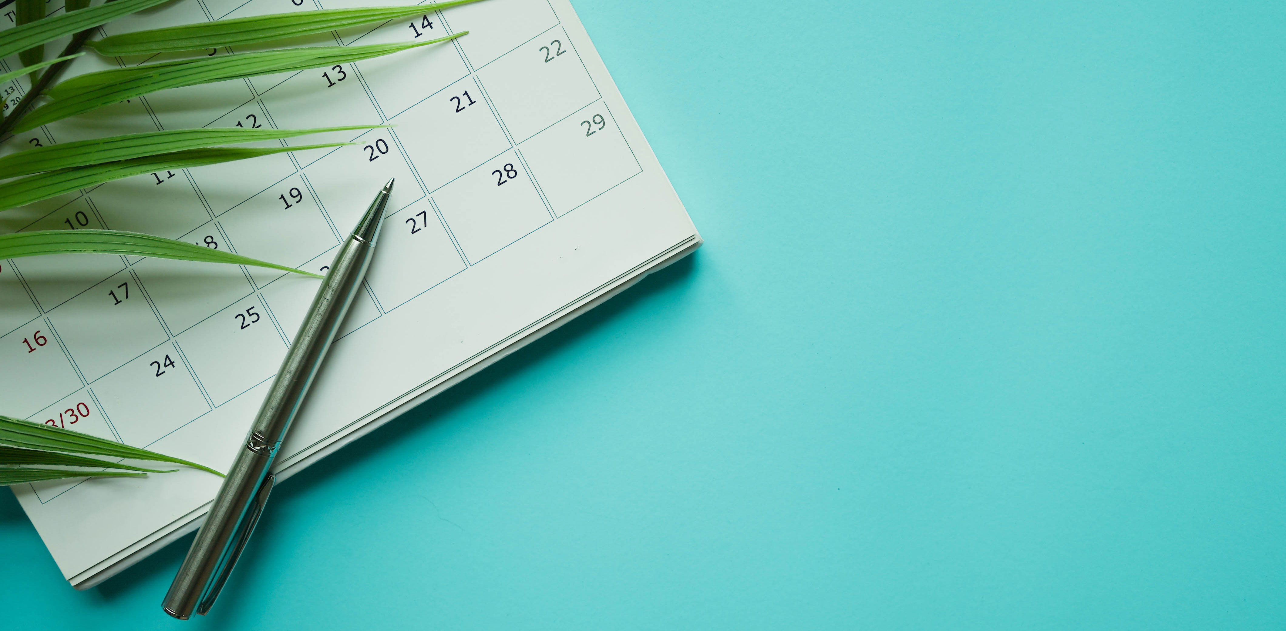 close up top view on white calendar with pen and tropical leaves on blue table background for planning work and life balance in holiday summer concept